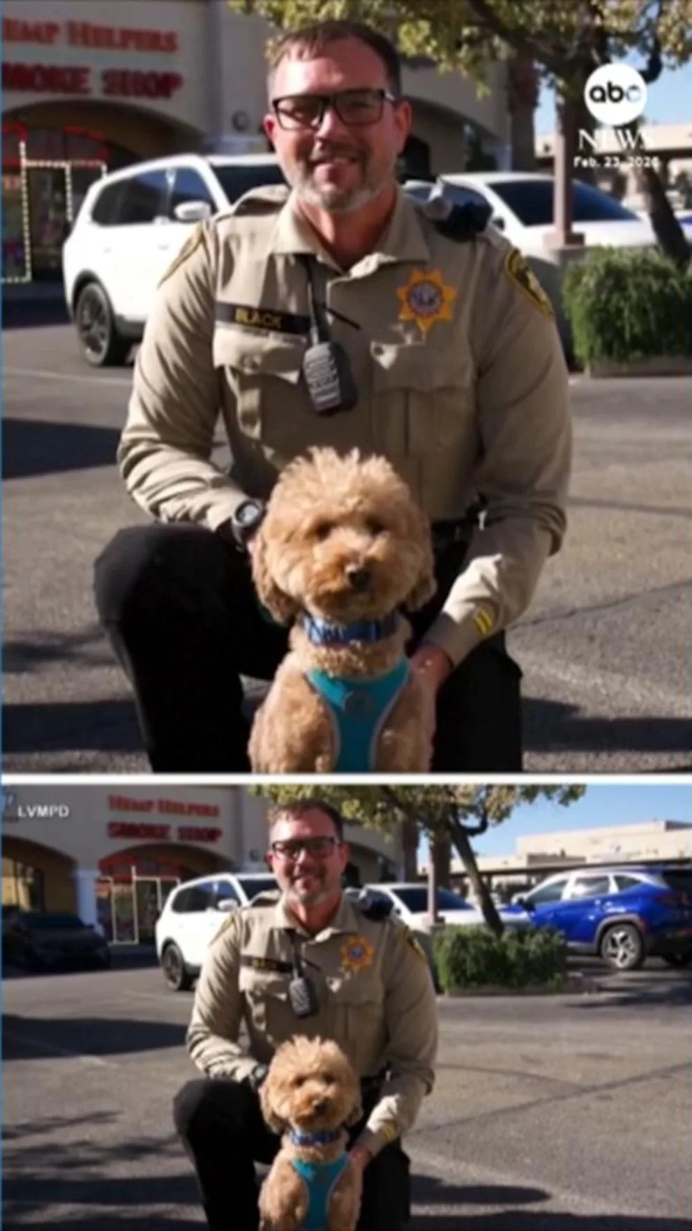 2-Year-Old Goldendoodle Abandoned at Las Vegas Airport Finds New Home